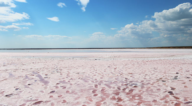рожева сіль арабатська стрілка